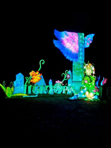 2021 - Palace of Light, Lightopia, Crystal Palace :: Dave Cusselle